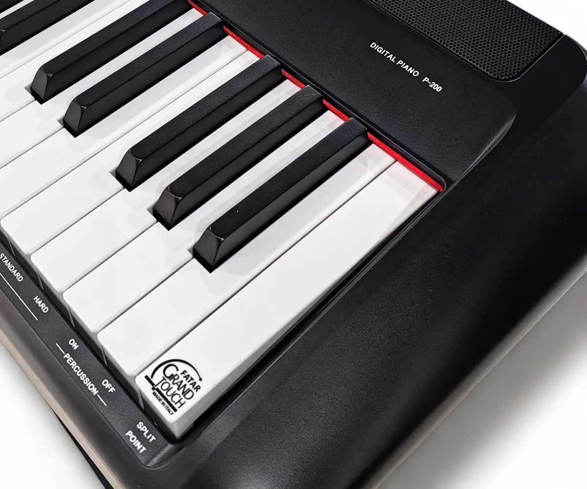 Цифровое пианино Pearl River P200 BK