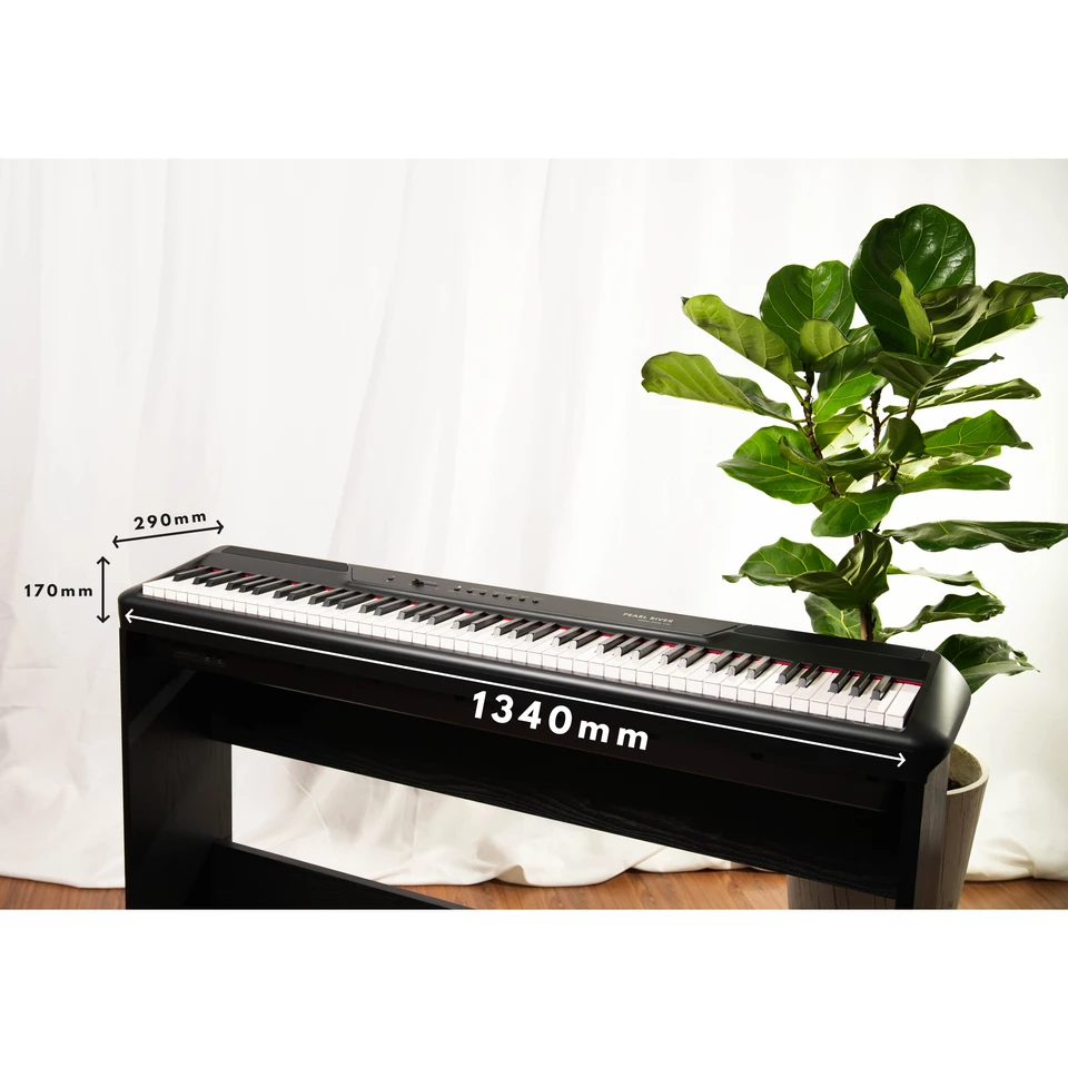 Цифровое пианино Pearl River P60 BK